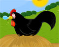 Ӣă裺Balck hen
