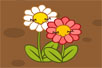 Ӣăȫ  where do all the daisies go
