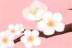 Ӣăȫ  plum blossoms